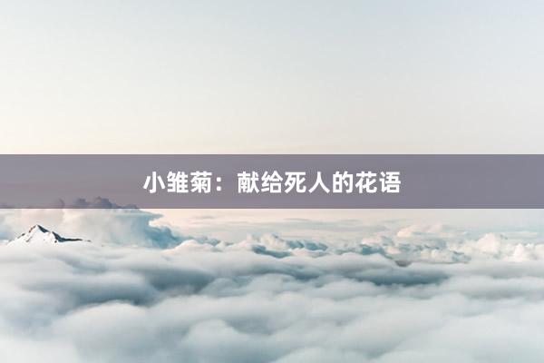 小雏菊：献给死人的花语