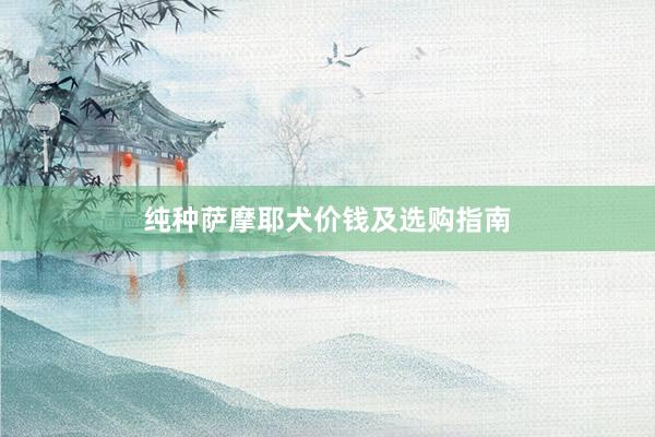 纯种萨摩耶犬价钱及选购指南