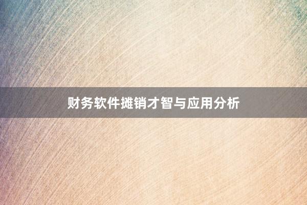 财务软件摊销才智与应用分析