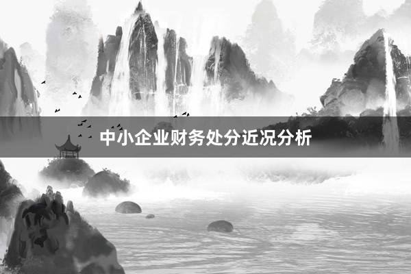 中小企业财务处分近况分析