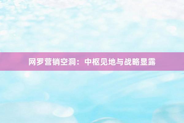 网罗营销空洞：中枢见地与战略显露